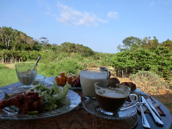 トリップアドバイザー提供