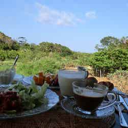 トリップアドバイザー提供