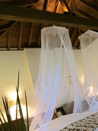 トリップアドバイザー提供