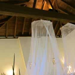 トリップアドバイザー提供