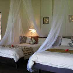 トリップアドバイザー提供