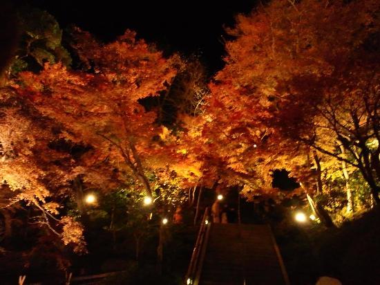 トリップアドバイザー提供