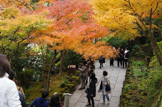 トリップアドバイザー提供