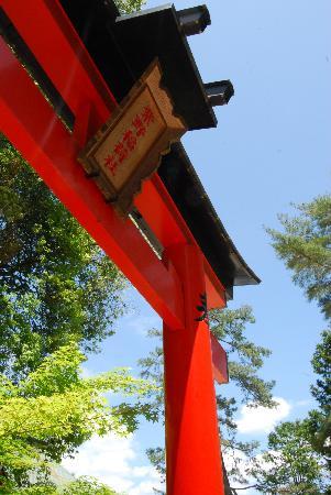 トリップアドバイザー提供