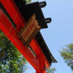 トリップアドバイザー提供