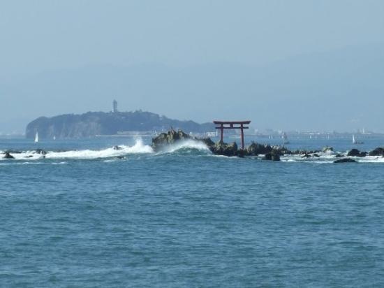 トリップアドバイザー提供