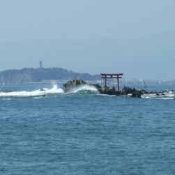 トリップアドバイザー提供