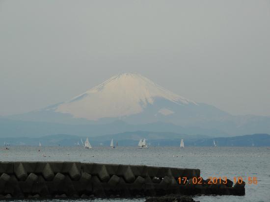 トリップアドバイザー提供