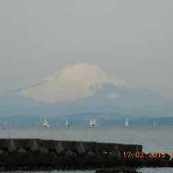 トリップアドバイザー提供