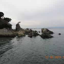 トリップアドバイザー提供