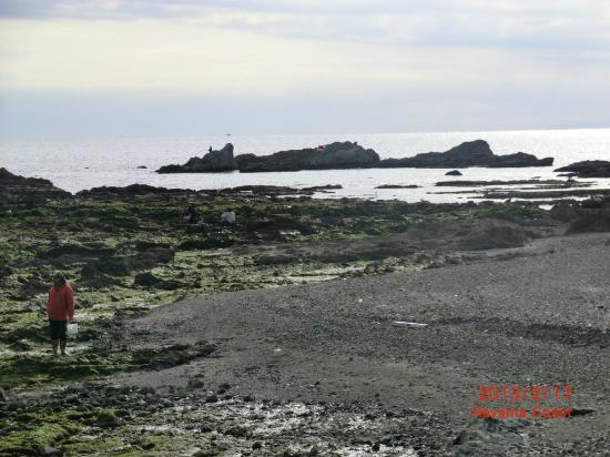 トリップアドバイザー提供