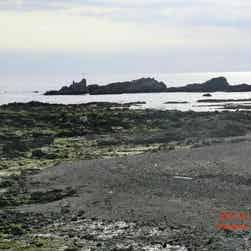 トリップアドバイザー提供