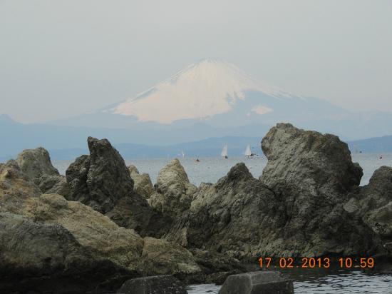 トリップアドバイザー提供