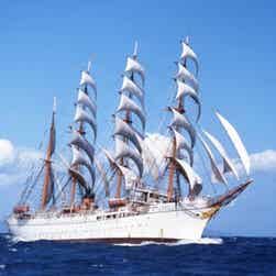 トリップアドバイザー提供