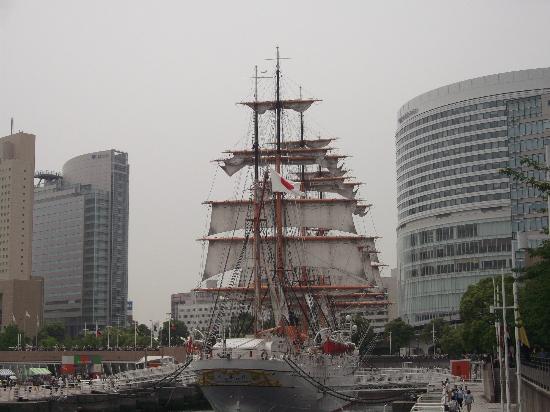 トリップアドバイザー提供