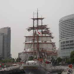 トリップアドバイザー提供