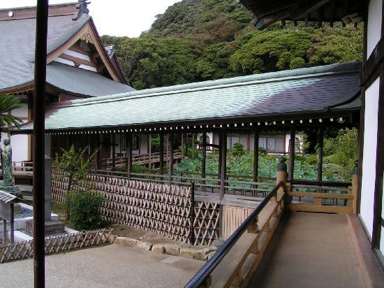 トリップアドバイザー提供