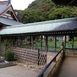 トリップアドバイザー提供