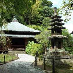 トリップアドバイザー提供