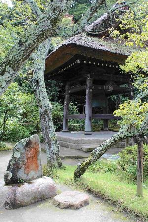 トリップアドバイザー提供