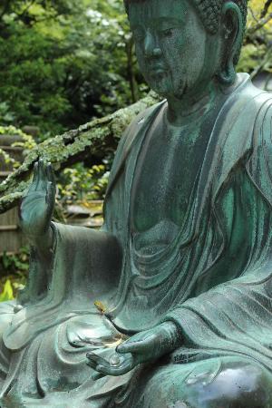 トリップアドバイザー提供