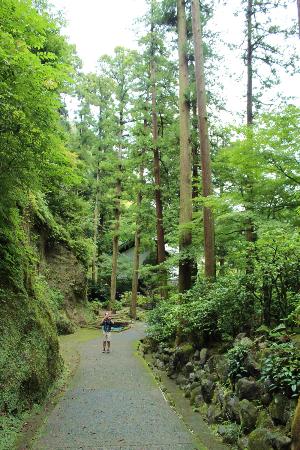 トリップアドバイザー提供