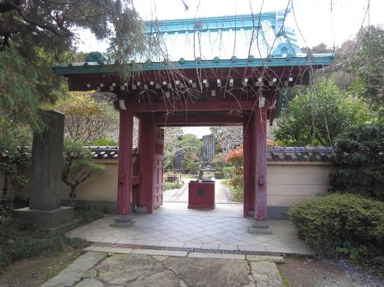 トリップアドバイザー提供