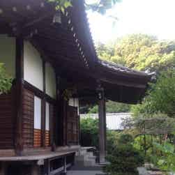 トリップアドバイザー提供