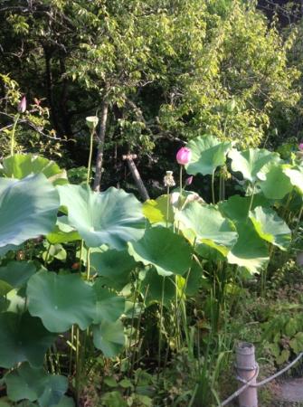 トリップアドバイザー提供