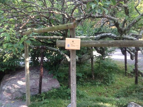 トリップアドバイザー提供