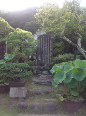 トリップアドバイザー提供