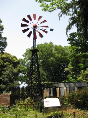 トリップアドバイザー提供