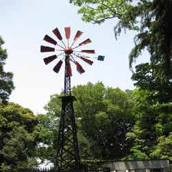 トリップアドバイザー提供