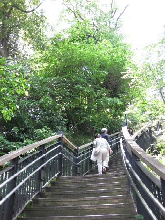 トリップアドバイザー提供