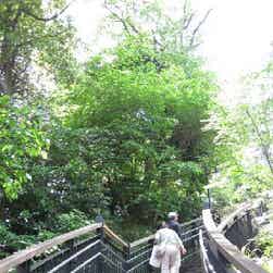 トリップアドバイザー提供