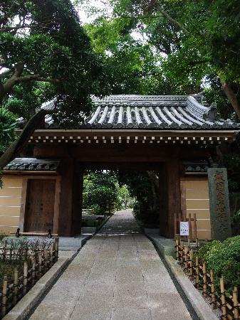 トリップアドバイザー提供