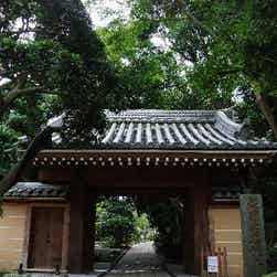 トリップアドバイザー提供