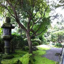 トリップアドバイザー提供