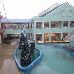 トリップアドバイザー提供