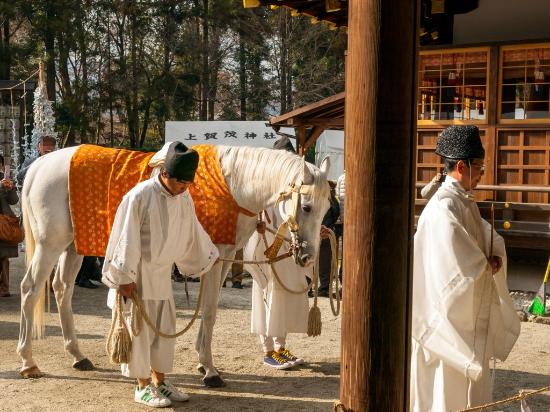 トリップアドバイザー提供
