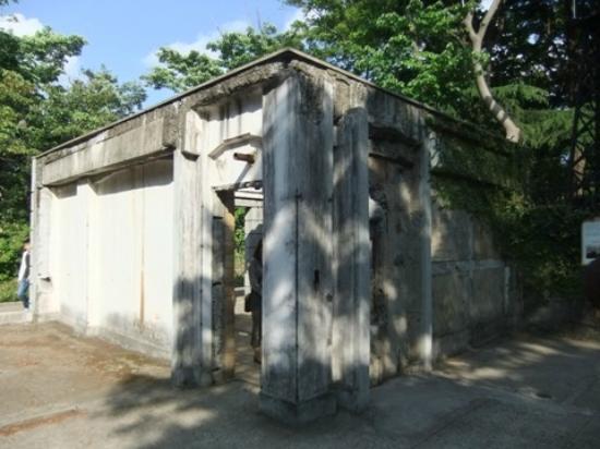 トリップアドバイザー提供