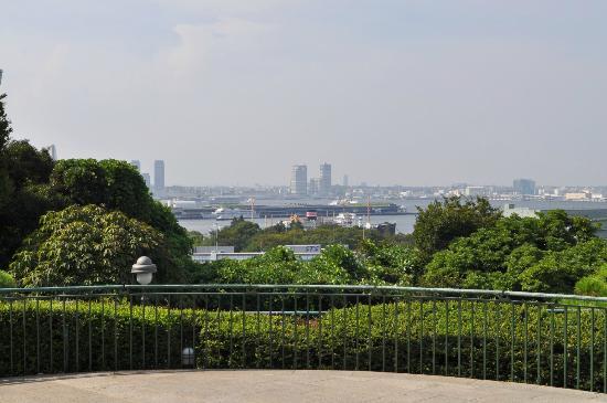 トリップアドバイザー提供