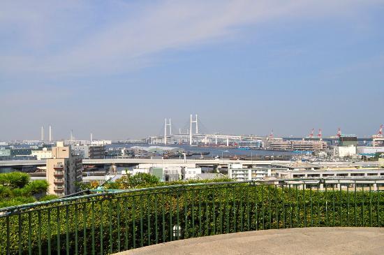 トリップアドバイザー提供