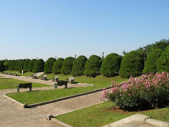 トリップアドバイザー提供