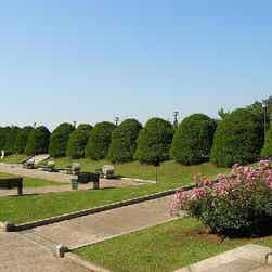 トリップアドバイザー提供