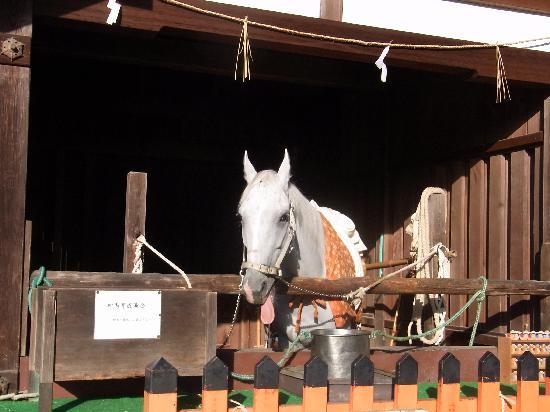 トリップアドバイザー提供