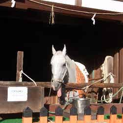 トリップアドバイザー提供