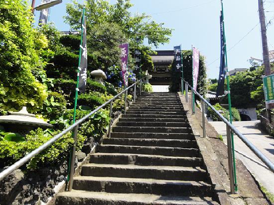 トリップアドバイザー提供