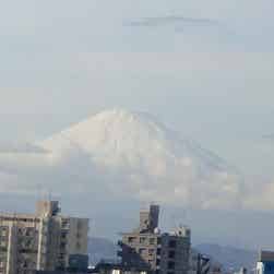 トリップアドバイザー提供