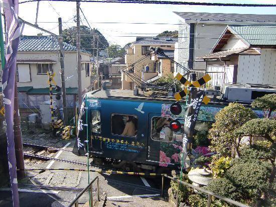 トリップアドバイザー提供